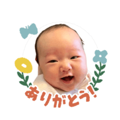 purin_20251216194559