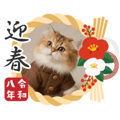 mikiko_20251216195357