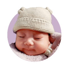 3forest_20251216175500