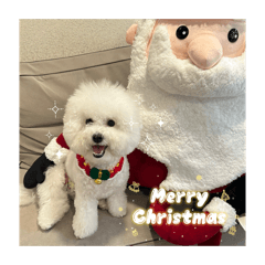 我就是很白目的小饅頭