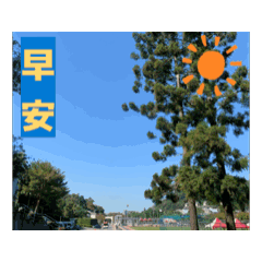 珍妮的美好人生