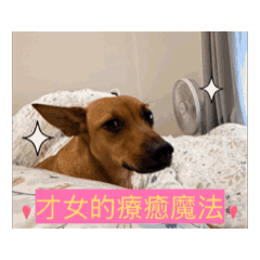 Kitty & Alexander’s story, Chapter 1