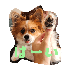 Banigon_20251216123103