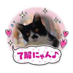 minnie_20251216122924