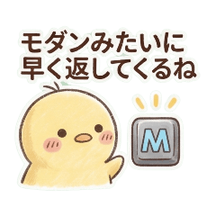 namake_20251214231652
