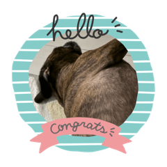 sachi_20251216185036