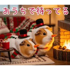 PAKAMOGOLY_20251216101135