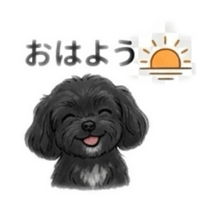 sarah_20251216162136