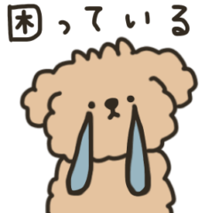 犬のちゃちゃまる＊困ってます【甘えたい】