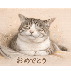 Sora the Cat Gentle Daily Stickers