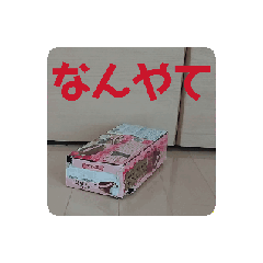 Pistachio_20251216202753