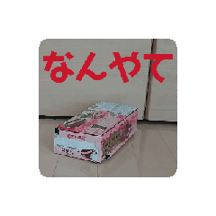 Pistachio_20251216202753