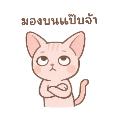 Blushy Pink Sphynx - Soft & Sweet