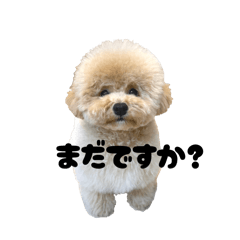 kanna_20251216200058