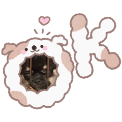 piyorn_20251216032124