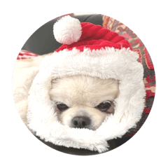 ikrt43431_20251216034256