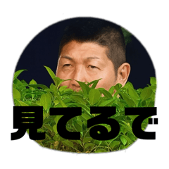 Ayumi.u_20251215104503