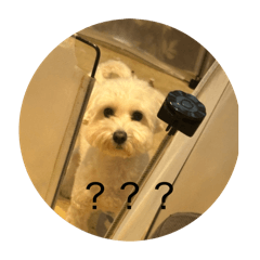 EVENT_20251216155003