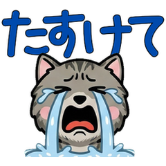 Anim. Overreaction Silver Tabby 4 Text