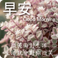 A Gentle Greeting from Succulents 3