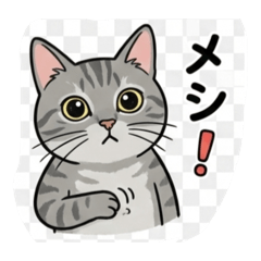 Angela_20251216230247