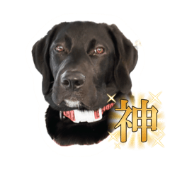 wakuwaku_20251216095124