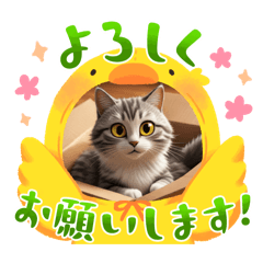 kazue_20251216093830