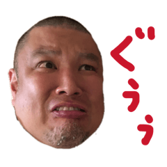 ikapi_20251216101524