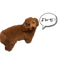 K.rio_20251216102054