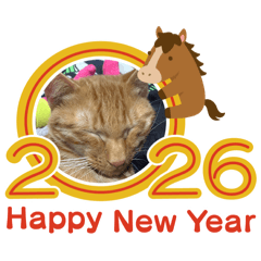 takako_20251216095921