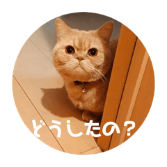 itoukun_20251216101324