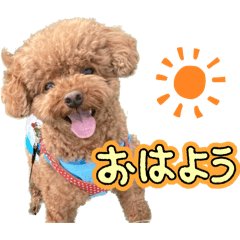 nao.m_20251216094352