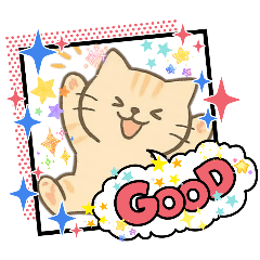 Matthew_20251216133133