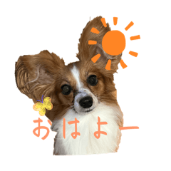 yu-nyan_20251216174934