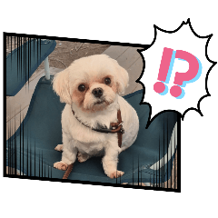 JollyKiddy_20251216161431