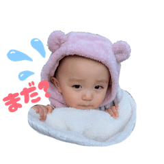 Papillon_20251216222952