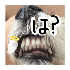 mimii_20251216223057