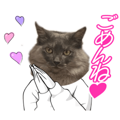 kuremu_20251216182710