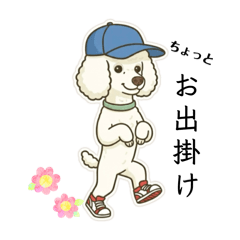 MAJESTIC POODLE_20251216182122