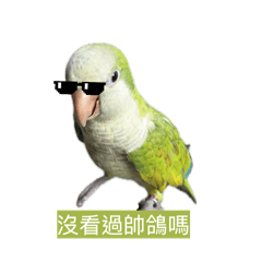 阿寶寶的偽內心世界