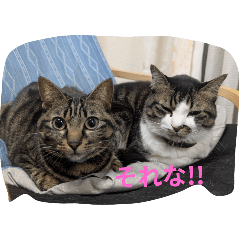 uzukomachi_20251217082005