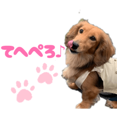 chihiro_20251217081752