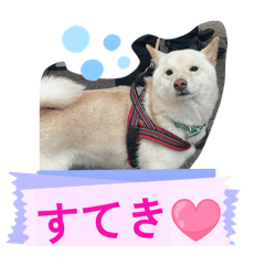 Sirotan_20251216154013