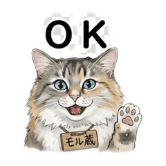 Angela_20251216224442