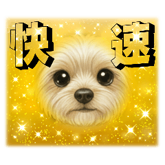 moco._20251216232324