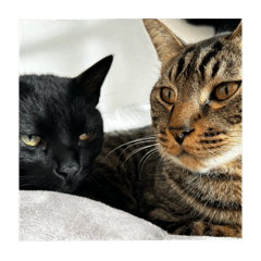 OKAMOTO_20251216233332