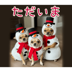 PAKAMOGOLY_20251216163510