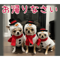 PAKAMOGOLY_20251216163715