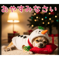 PAKAMOGOLY_20251216164224