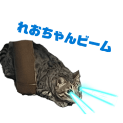 Justin_20251217001504